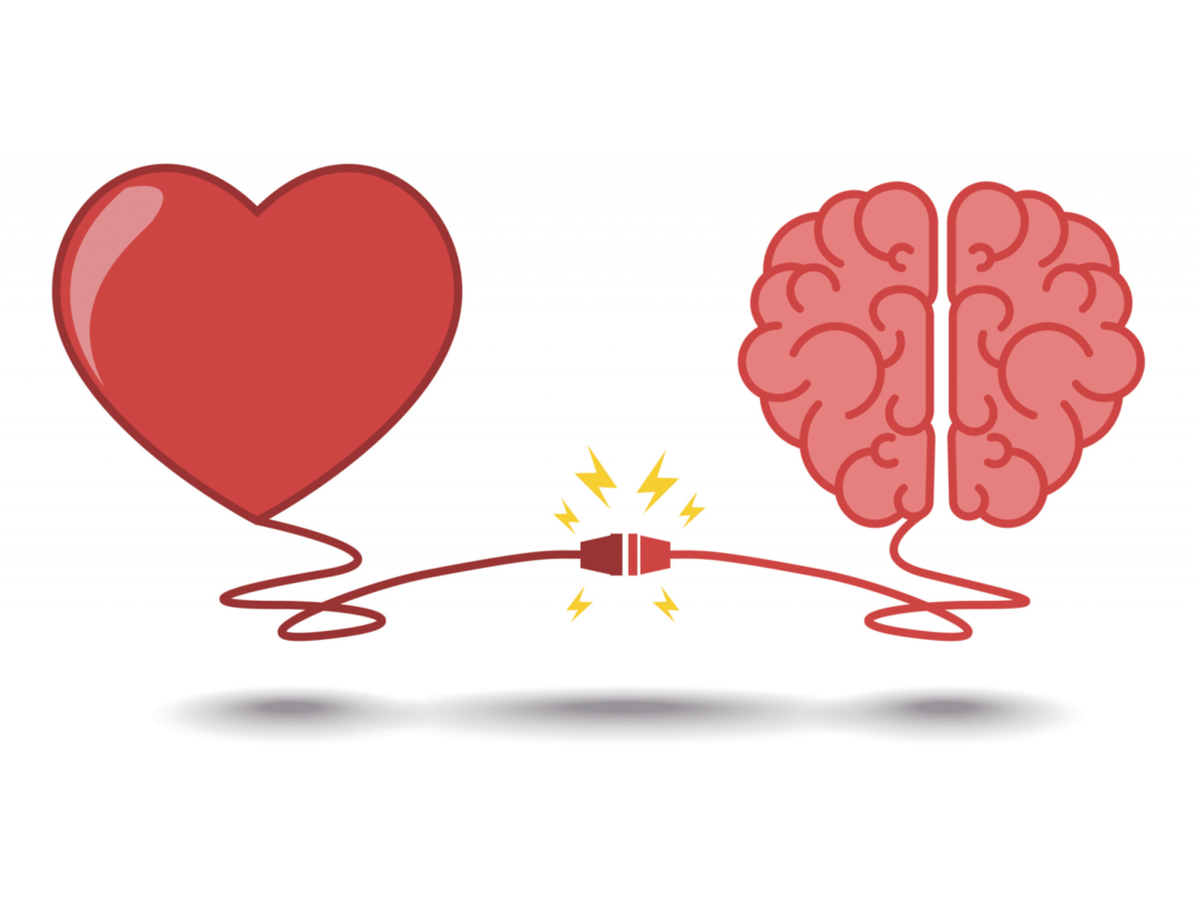 Мозг и сердце. Влюбленный мозг. Сердце и разум. Ум и сердце.